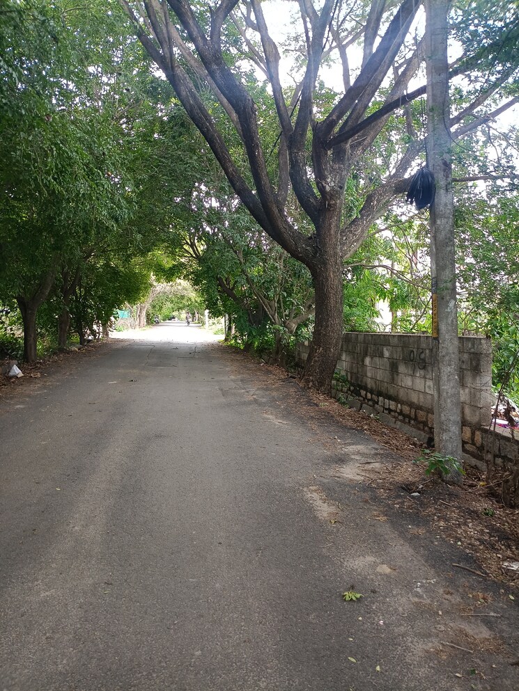 undefined, akshayanagar  2653 Sq.Ft. Plot In Akshayanagar Bangalore 7813117