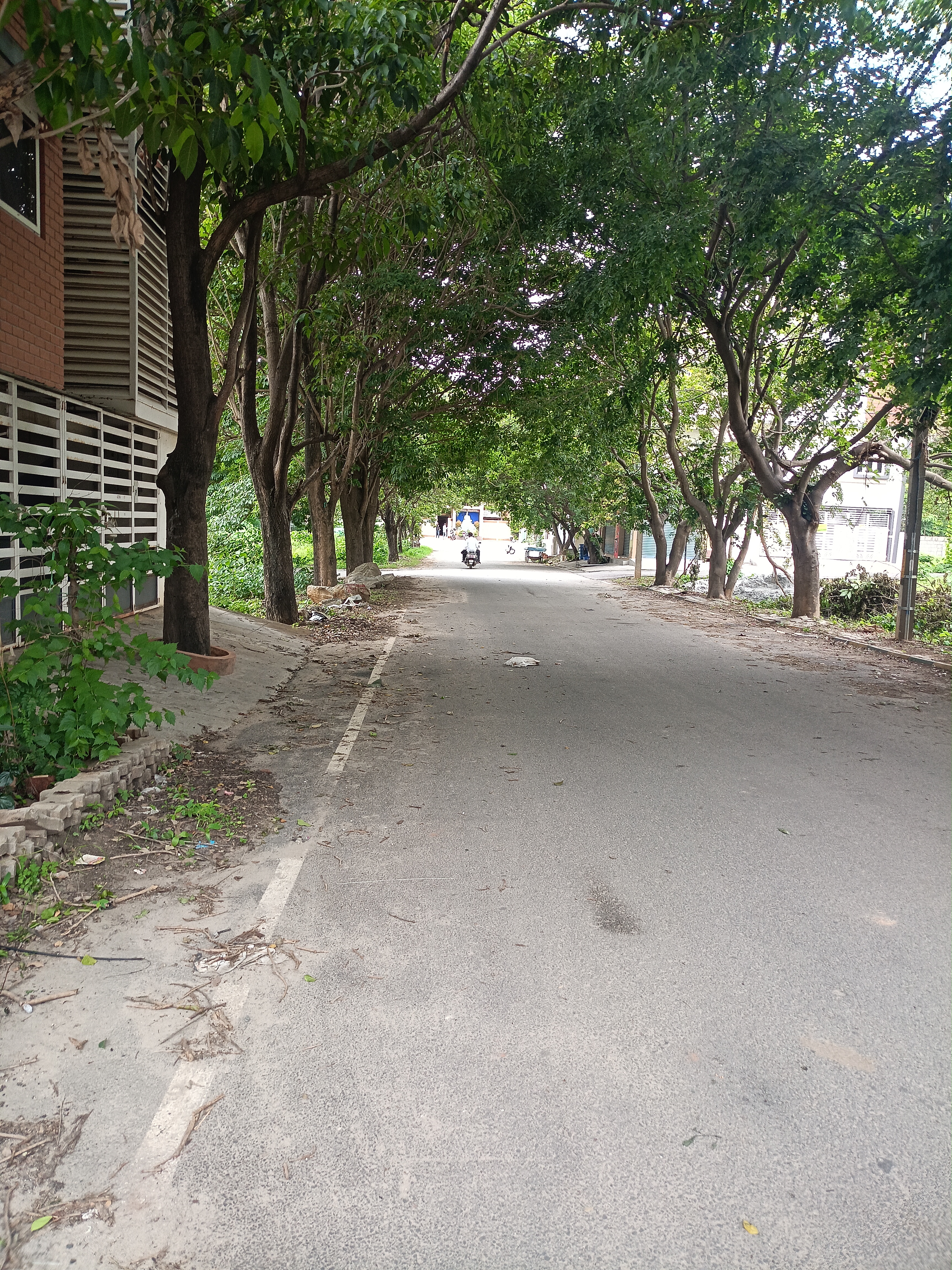 Plot For Sale in Akshayanagar