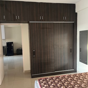 2 BHK Apartment For Rent in AVL 36 Gurgaon Sector 36a Gurgaon  7813322