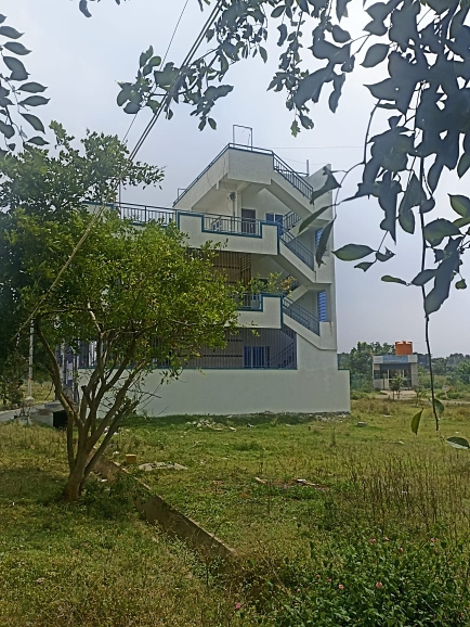 Plot For Resale in Sampangi Rama Nagar Bangalore  7813772