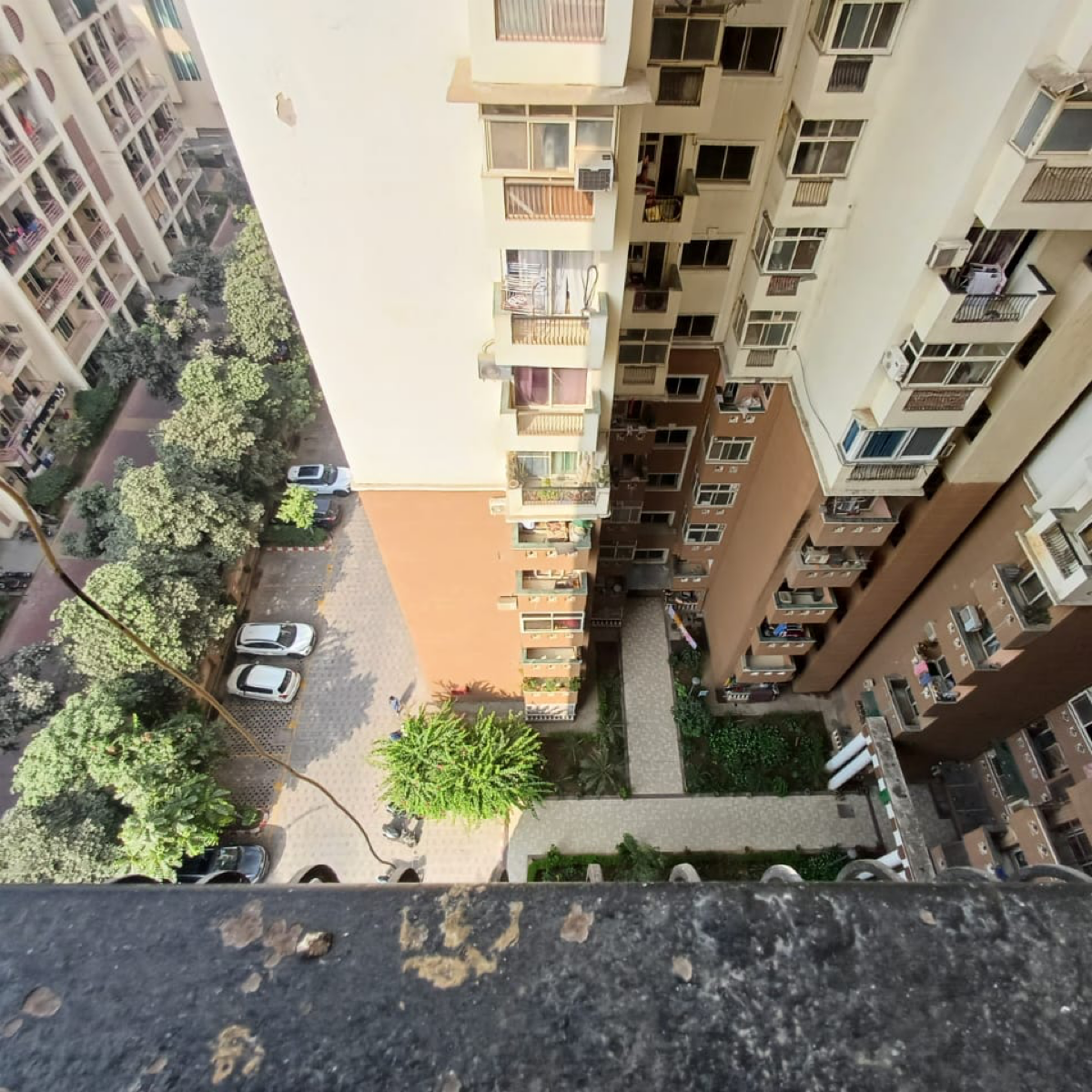 2 BHK Apartment For Resale in Amrapali Princely Estate Sector 76 Noida  7813870