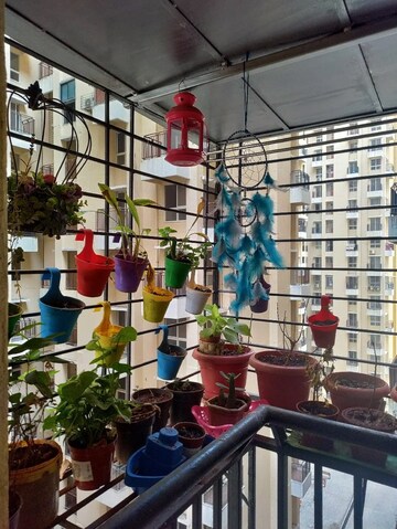 2 BHK Apartment – Exterior View View at DB Orchid Ozone, Dahisar East - for Sale