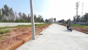 Plot For Resale in Yelahanka Bangalore  7814433