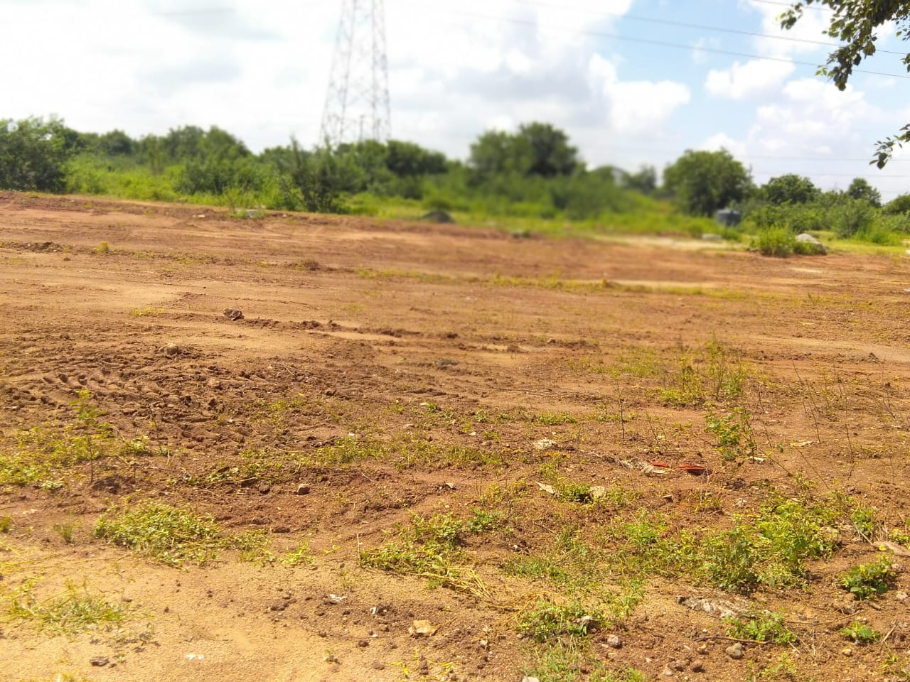 Plot For Resale in Kothapet Hyderabad  7814960