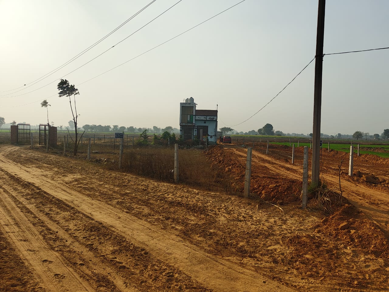 Plot For Sale in Royal City 