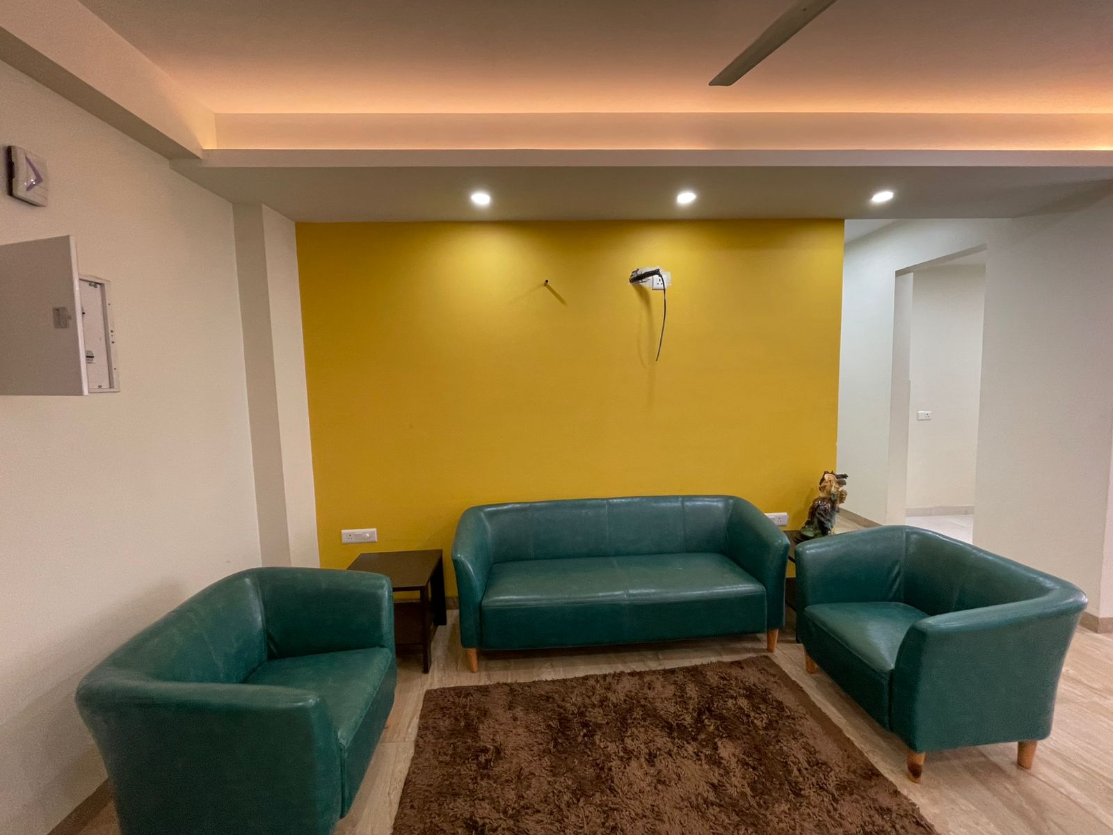 3 BHK Apartment For Rent in Vasant Kunj Delhi  7815806