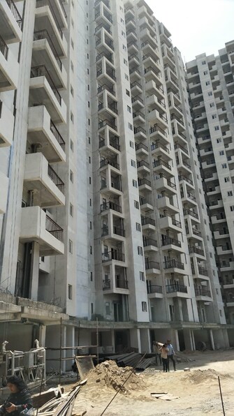 1 BHK Apartment For Resale in Amrapali Dream Valley Noida Ext Tech Zone 4 Greater Noida  7815970