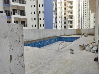 1 BHK Apartment For Resale in Amrapali Dream Valley Noida Ext Tech Zone 4 Greater Noida  7815970