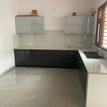 2 BHK Apartment For Rent in Gazipur Zirakpur  7816324