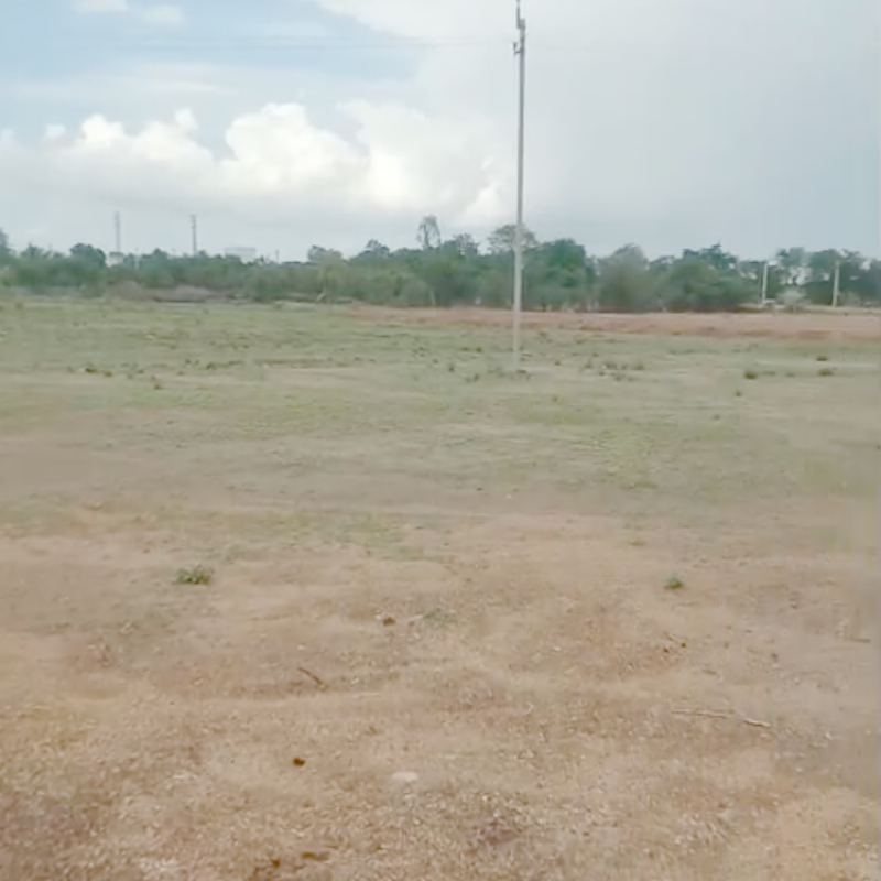 Commercial Land 8 Acre For Resale in Rayachoty Cuddapah  7816390