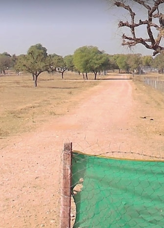 Plot For Resale in Harmada Jaipur  7816361