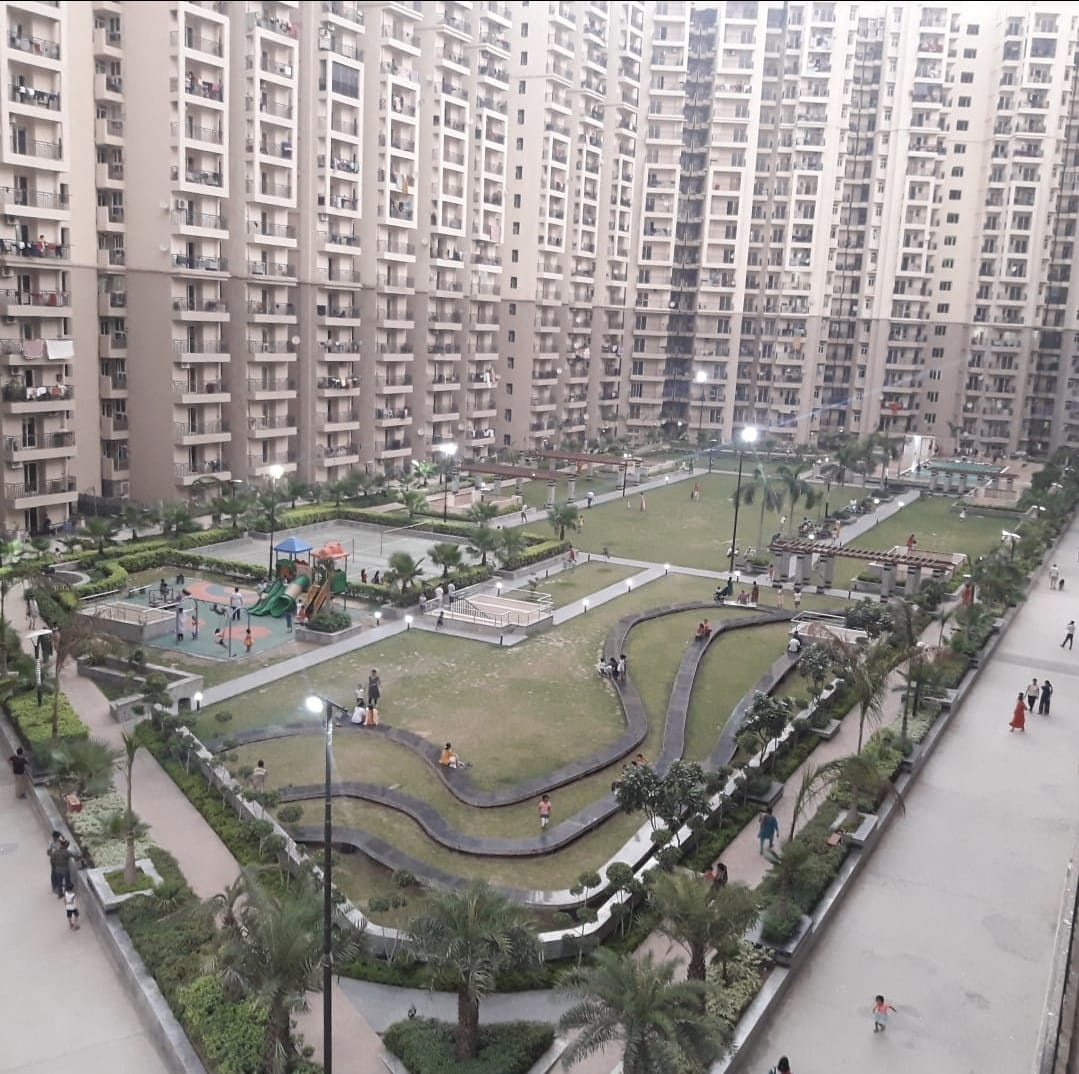 3 BHK Apartment For Rent in Galaxy North Avenue ll Gaur City 2  Greater Noida  7816524