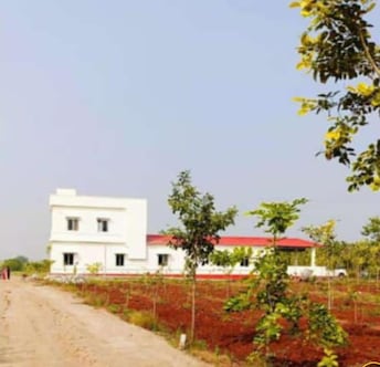 Plot For Resale in Indo Magadha Kadthal Hyderabad  7816870