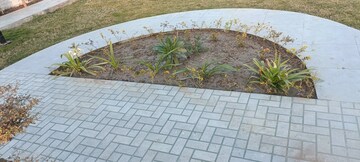  Plot – Exterior View View at Gokul Nikunj, Kalwara - for Sale