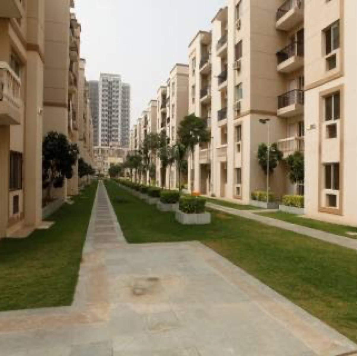 3.5 BHK Builder Floor For Resale in Sare Home Shikarpur Gurgaon  7816993