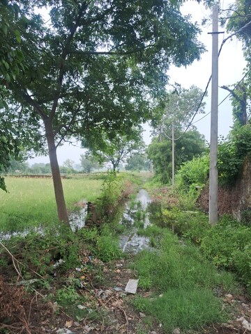  Plot – Garden View at Sector 33 - for Sale