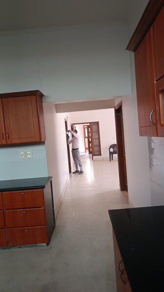 6 BHK Independent House For Resale in RWA Apartments Sector 41 Sector 41 Noida  7817499