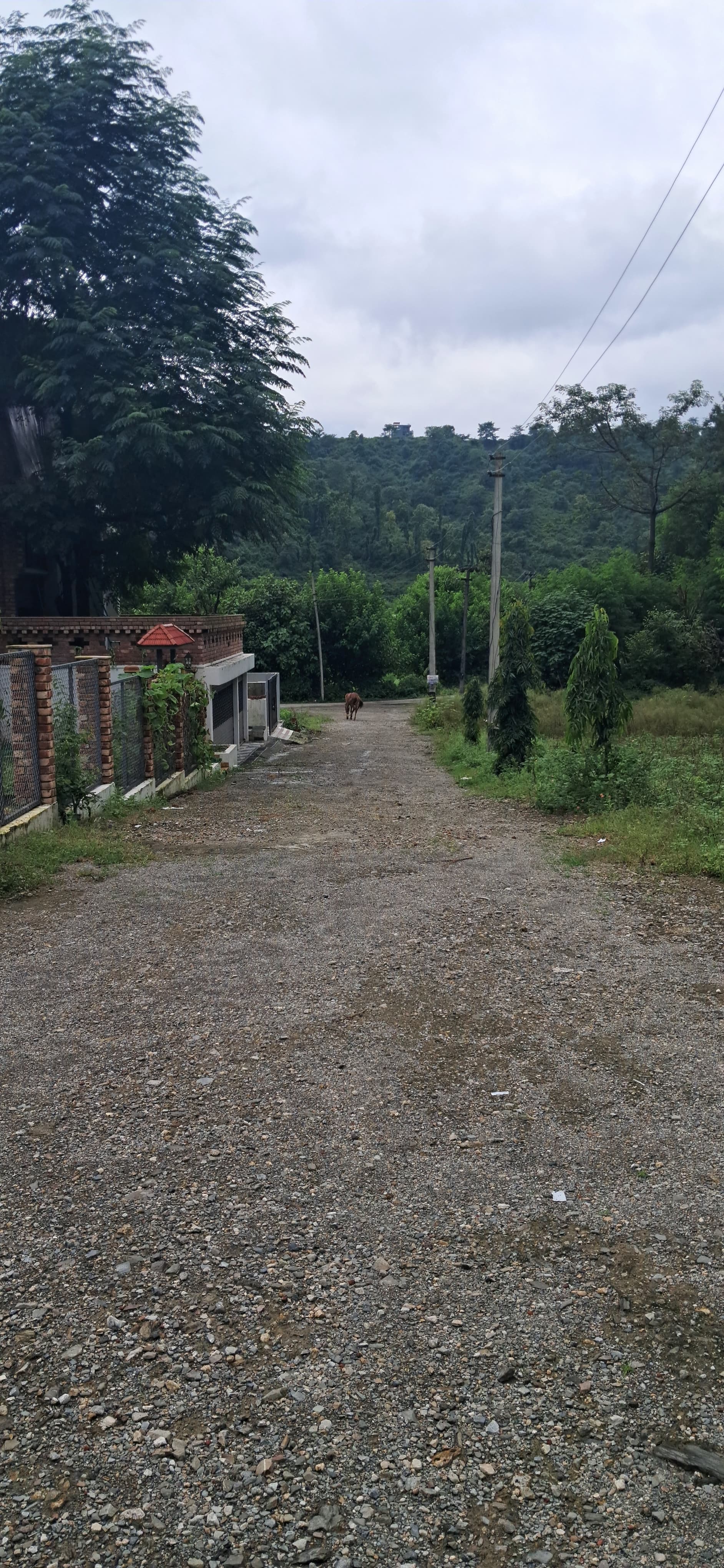 Plot For Sale in Eco Village 