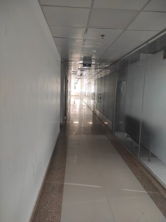 Commercial Office Space 693 Sq.Ft. For Rent in Sector 102 Gurgaon  7817688