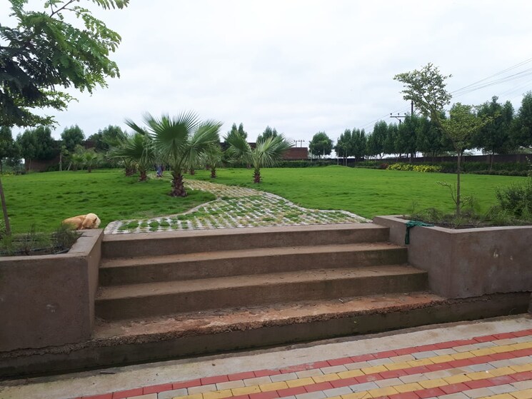 Garden, sejbahar  1100 Sq.Ft. Plot In Sejbahar Raipur 7817765