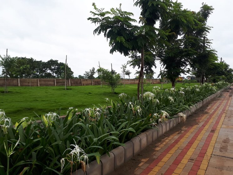 Garden, sejbahar  1100 Sq.Ft. Plot In Sejbahar Raipur 7817765