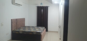 3 BHK Builder Floor For Rent in Arcade 48 Sector 48 Gurgaon  7817900