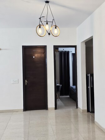 3 BHK Builder Floor For Rent in Arcade 48 Sector 48 Gurgaon  7817900