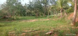 Plot For Resale in Chikkalasandra Bangalore  7817929