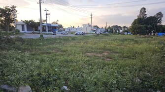 Plot For Resale in Chikkalasandra Bangalore  7817929