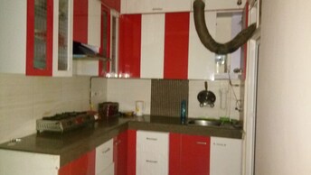 2 BHK Apartment For Rent in Exotica Dreamville Noida Ext Sector 16c Greater Noida  7817975