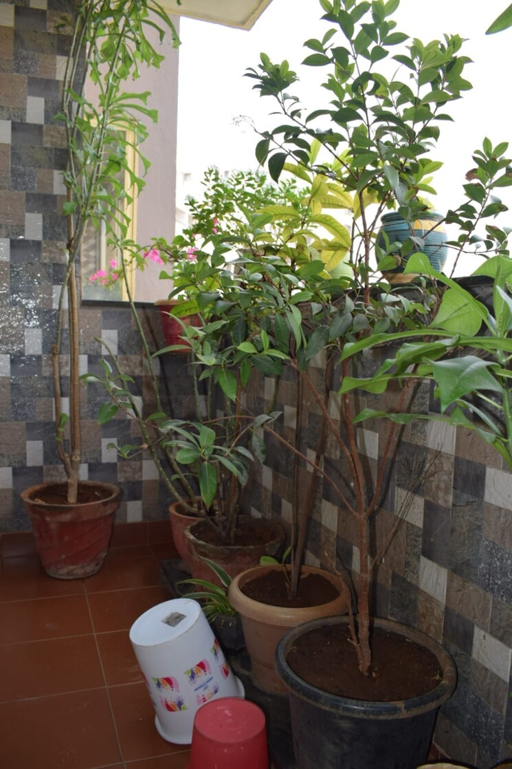 Balcony, golden-palm-enclave 4 Bedroom 3070 Sq.Ft. Apartment In Hennur Road Bangalore 7818016