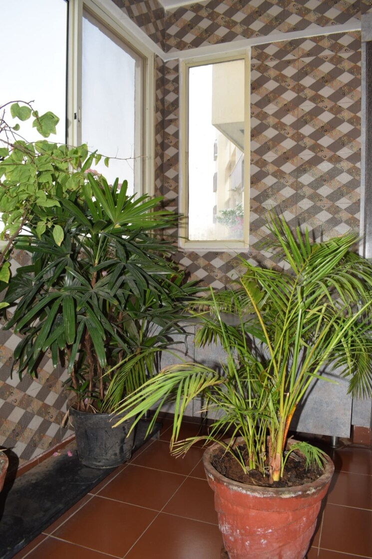 Balcony, golden-palm-enclave 4 Bedroom 3070 Sq.Ft. Apartment In Hennur Road Bangalore 7818016