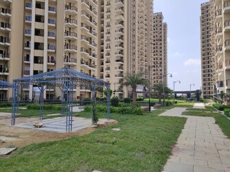 2 BHK Apartment For Rent in Sector 10 Greater Noida  7818136