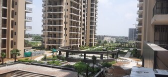 2 BHK Apartment For Rent in Sector 10 Greater Noida  7818136