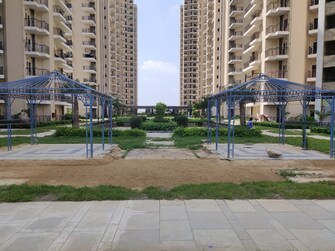 2 BHK Apartment For Rent in Sector 10 Greater Noida  7818136