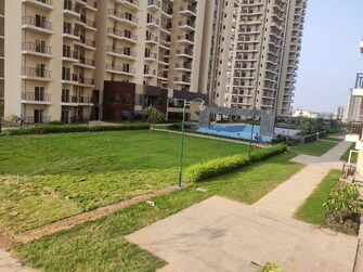 2 BHK Apartment For Rent in Sector 10 Greater Noida  7818136