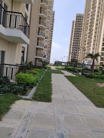 2 BHK Apartment For Rent in Sector 10 Greater Noida  7818136