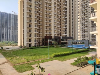 2 BHK Apartment For Rent in Sector 10 Greater Noida  7818136