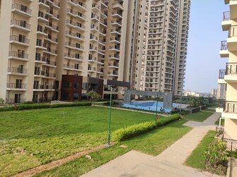 2 BHK Apartment For Rent in Sector 10 Greater Noida  7818136