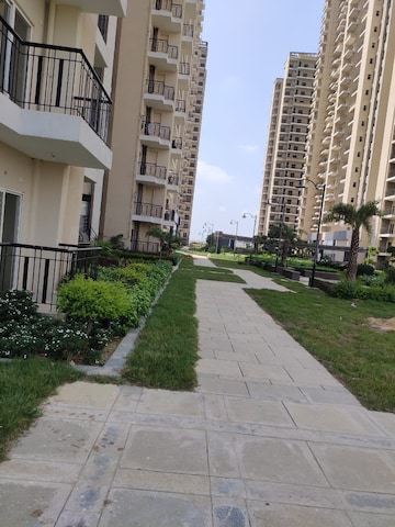 2 BHK Apartment For Rent in Amaatra Homes Sector 10 Greater Noida Greater Noida  7818152