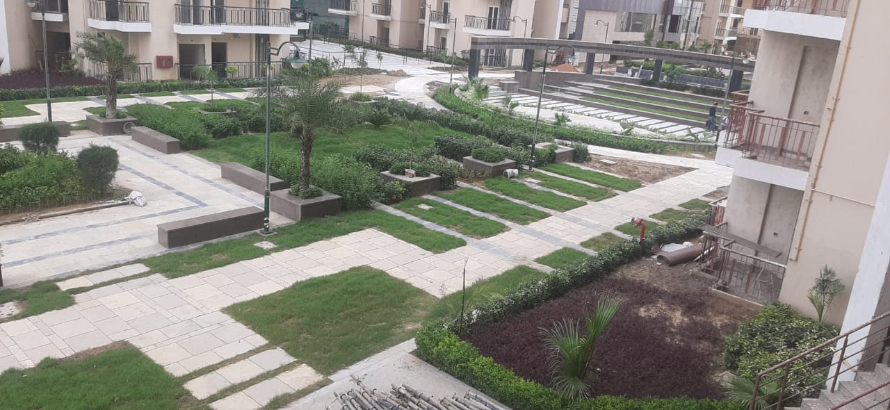 2 BHK Apartment For Rent in Amaatra Homes Noida Ext Sector 10 Greater Noida  7818176