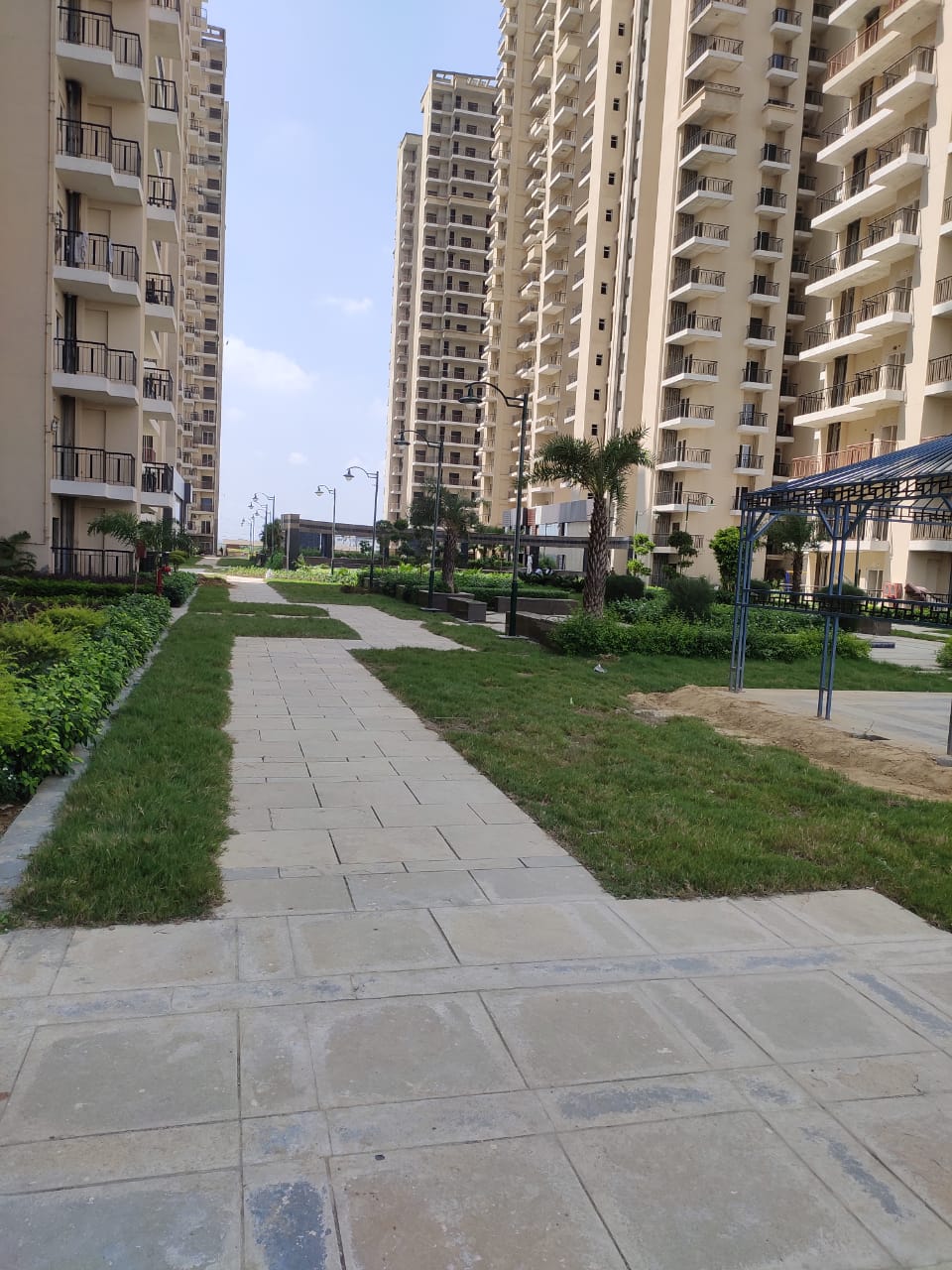 2 BHK Apartment For Rent in Amaatra Homes Noida Ext Sector 10 Greater Noida  7818188