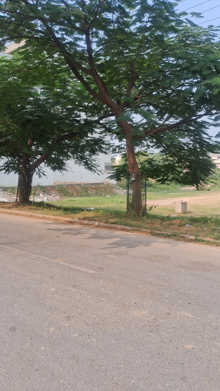 Exterior View, panchkula urban estate  250 Sq.Yd. Plot In Panchkula Urban Estate Panchkula 7818303