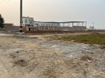 Commercial Land 26000 Sq.Ft. For Rent in Hisar Road Sirsa  7818522