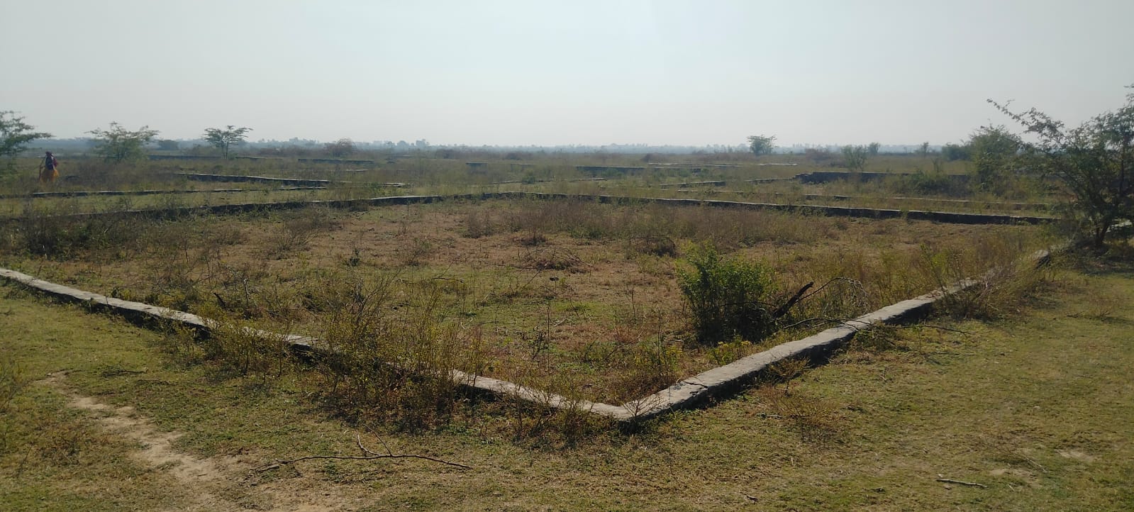 Plot For Sale in Sector 153