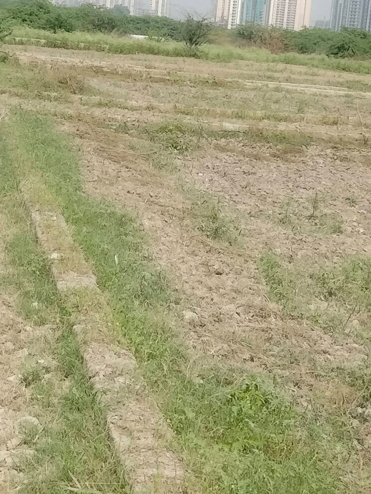 undefined, sector 153  116 Sq.Yd. Plot In Sector 153 Noida 7818722