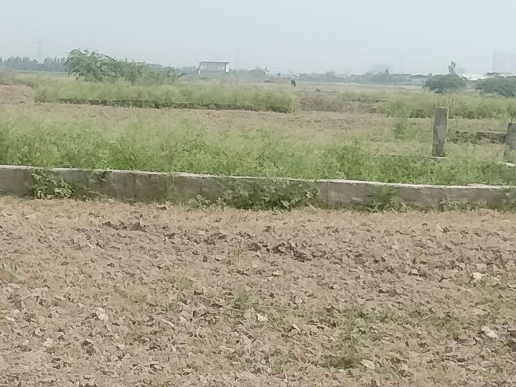 undefined, sector 153  116 Sq.Yd. Plot In Sector 153 Noida 7818722