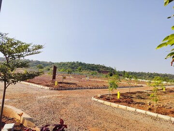 Plot Area in  Plot at Budhera – for Sale
