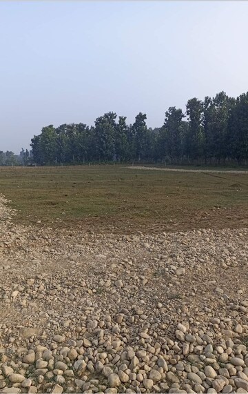  Plot – Garden View at Shimla Bypass Road - for Sale