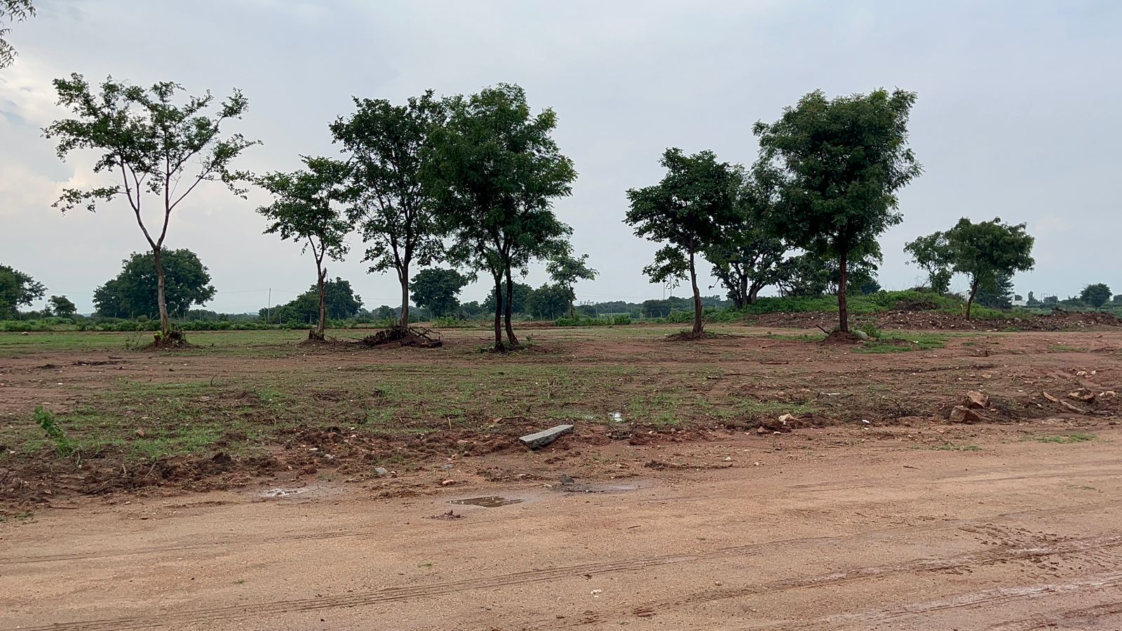 Plot For Resale in Erramanzil Hyderabad  7819101